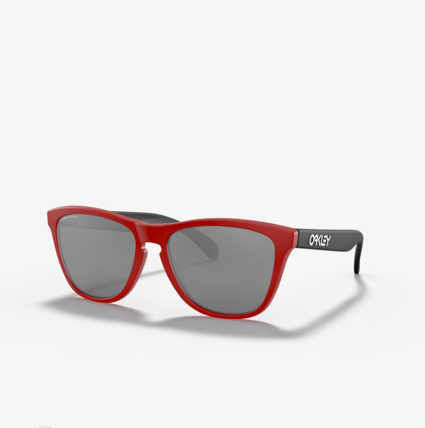 LUNETTES OAKLEY FROGSKINS™