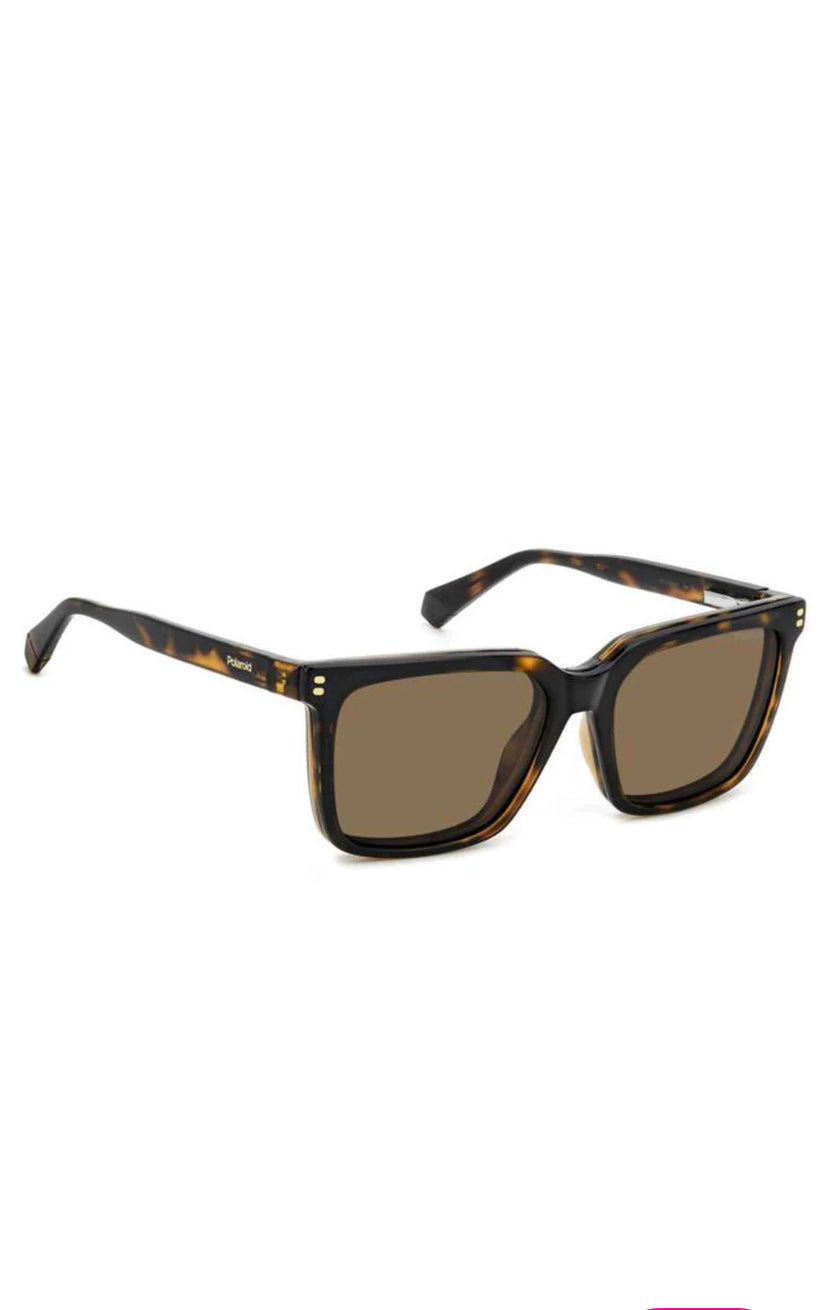LUNETTES POLAROID EYEWEAR PLD D556/C