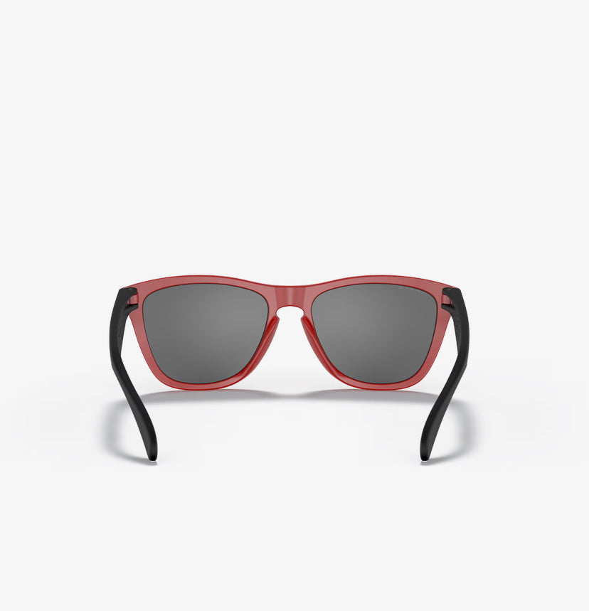 LUNETTES OAKLEY FROGSKINS™