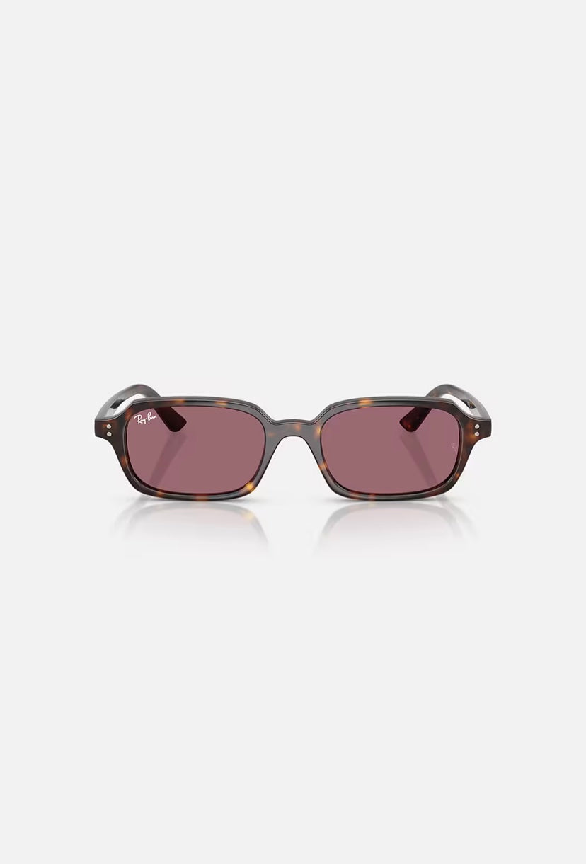 LUNETTES RAY-BAN ZURI BIO-BASED